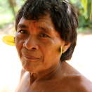En eldre yanomamiindianer har pyntet seg med blader for anledningen. Publisert 04.05 2013. Handoutbilde fra Det kongelige hoff. Bildet er kun til redaksjonell bruk - ikke for salg. Foto: Rainforest Foundation Norway / ISA Brazil.